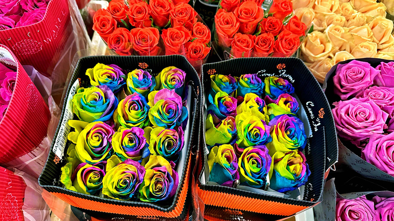 rainbow-roses.jpg