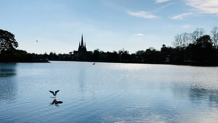 lichfield-6207325_1280.jpg