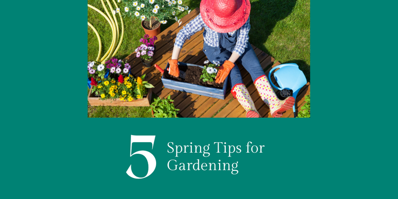 gardening-blog-image-1024-512px(903658)