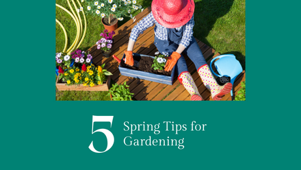 gardening-blog-image-1024-512px(903658)