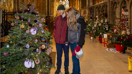 cathedral-xmas-trees.jpeg